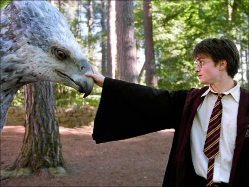 Harry a Hrdozobec.jpg